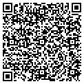 QR code with C White contacts