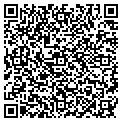 QR code with Amlawn contacts