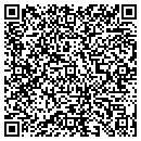 QR code with Cybernetworks contacts
