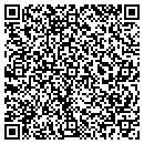 QR code with Pyramid Credit Union contacts
