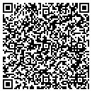 QR code with Problem Solver contacts