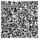 QR code with Blue Ladder Painting contacts