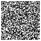 QR code with Pyrophoric Processes contacts