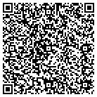 QR code with Public Safety Council contacts