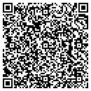 QR code with Public Works contacts