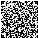 QR code with Premier Telecom contacts