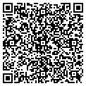 QR code with Curves contacts