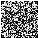 QR code with Premier Sealcoat contacts