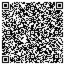 QR code with Crow Wing Electronics contacts