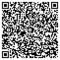 QR code with Kdg contacts