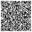 QR code with City of Brownsville contacts
