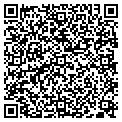 QR code with Synertx contacts