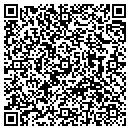QR code with Public Works contacts