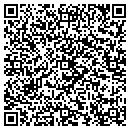 QR code with Precision Mechanic contacts