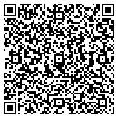 QR code with Public Works contacts