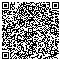 QR code with Modis contacts