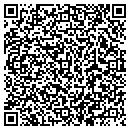 QR code with Protection Systems contacts