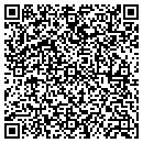 QR code with Pragmapool Inc contacts