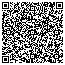 QR code with Practically Home contacts