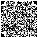QR code with Precision Design Inc contacts