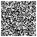 QR code with Costigans Minerals contacts