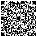 QR code with Pro-Fit Intl contacts