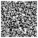 QR code with Pure Polymers contacts