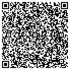 QR code with Blue Package Delivery contacts