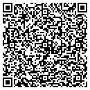 QR code with Professional Nails contacts