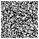 QR code with Premier Auto Spa contacts