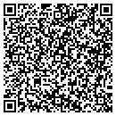 QR code with BLI Ameri-Star Lighting contacts