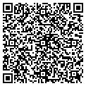 QR code with Allied contacts