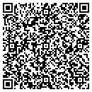 QR code with Chaos Navigation Inc contacts
