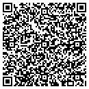 QR code with Punkin Patch Daycare contacts