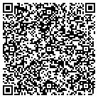 QR code with Pulstar Distributing Inc contacts