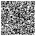 QR code with Sygnet contacts
