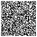 QR code with Project Fine contacts