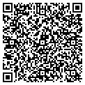 QR code with Curves contacts