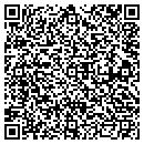 QR code with Curtis Consulting Inc contacts