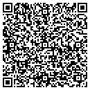 QR code with Carver Irrigation contacts