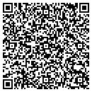 QR code with Pulse Products contacts