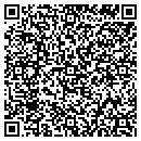 QR code with Puglisi Classico Co contacts