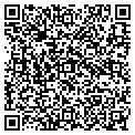 QR code with Q Nail contacts