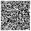 QR code with Punchard Properties contacts