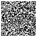 QR code with Klenks contacts