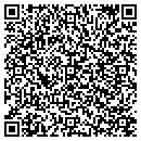 QR code with Carpet Store contacts