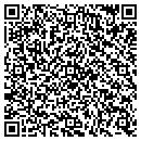 QR code with Public Storage contacts