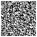 QR code with Sun Devil Auto contacts