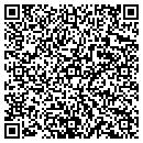 QR code with Carpet Store The contacts