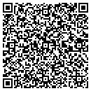 QR code with Custom Business Forms contacts